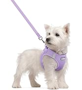 rabbitgoo Dog Harness Small Sized and Leash Set, Step in Soft Light Puppy Vest, Breathable Mesh P...