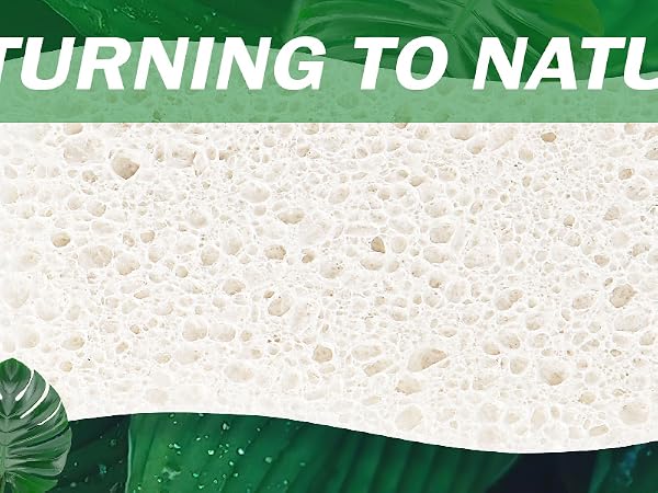 Natural Sponge