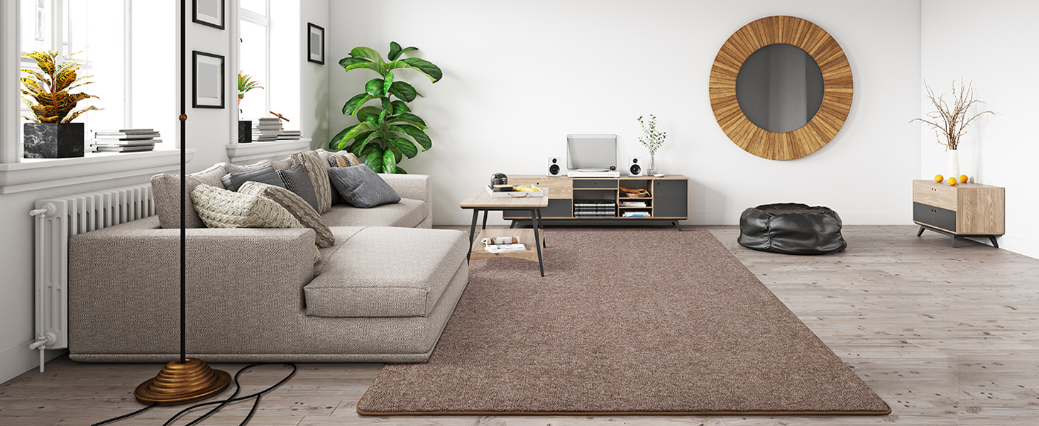 Brown and White area rug