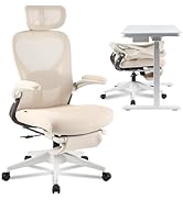 FLEXISPOT Foldex Ergonomic Office Chair, Folding Chair for Small Spaces with Lumbar Support, Flip...