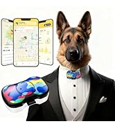 HIPET 4G Smart GPS Dog Tracker with Real-Time Location, Virtual Fence &amp; Activity Monitoring, Wate...