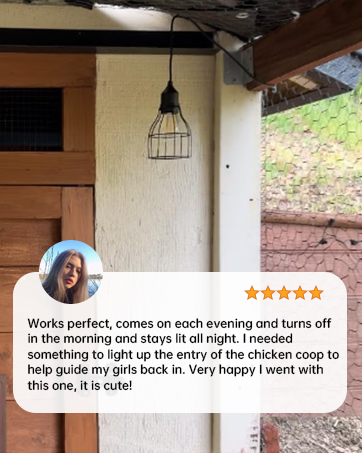 solar lights outdoor