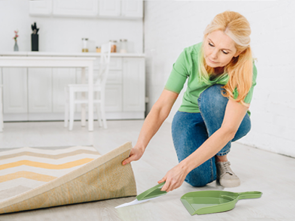small dust pan and brush