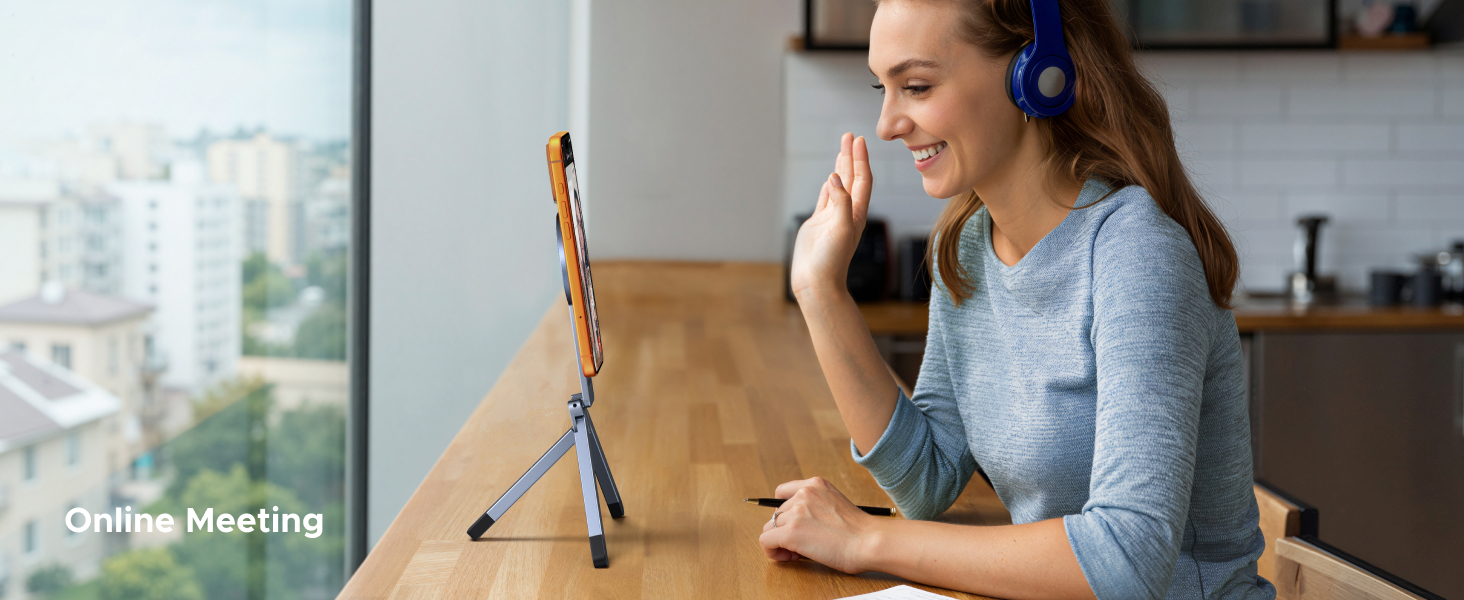Online Meeting
