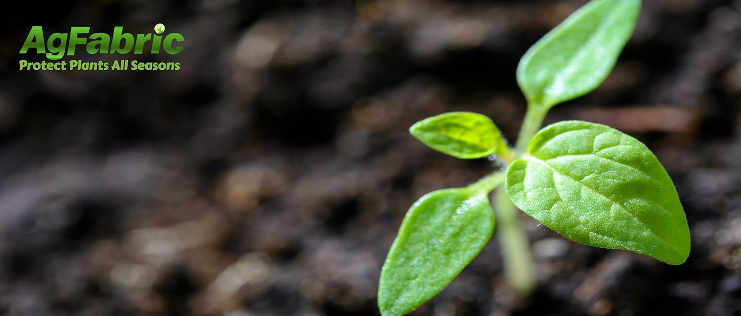 Agfabric