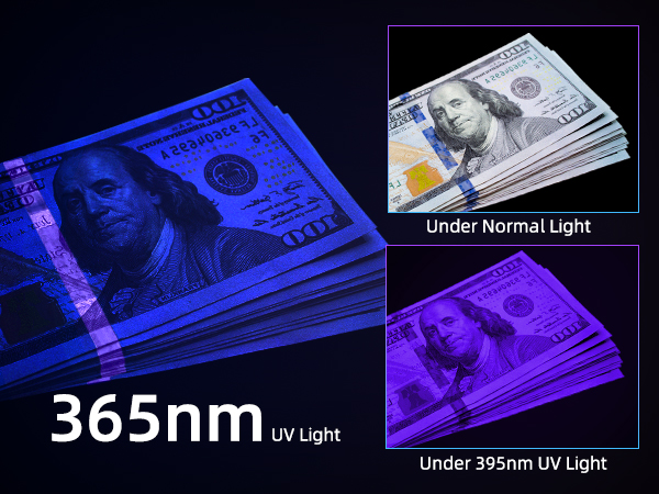 uv flashlight 365nm