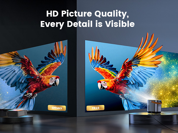 1080P HD Picture Quality