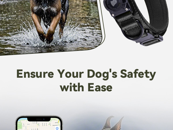 dog airtag collar