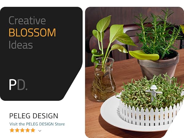 Kitchen and home accessories for daily use