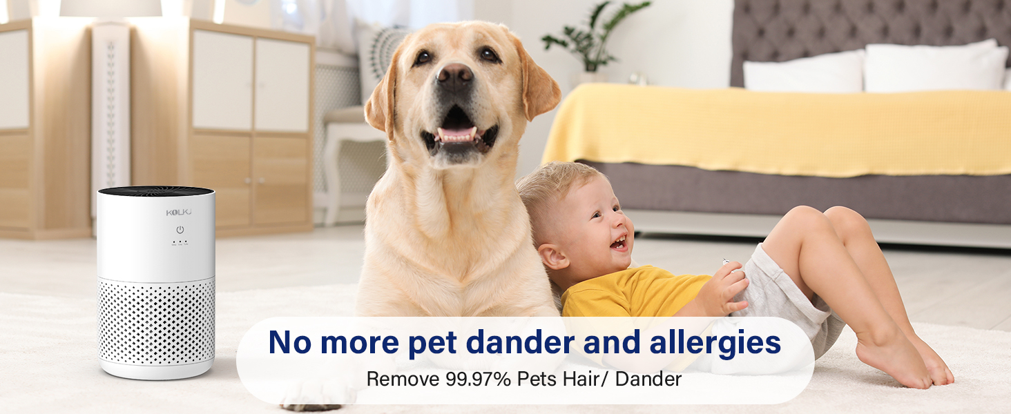 Air Purifier for pets