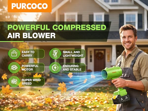 21V Cordless Leaf Blower