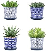 Selamica Ceramic Succulent Pots, 3.4 Inch Small Pots for Plants with Drainage Holes and Saucers, ...
