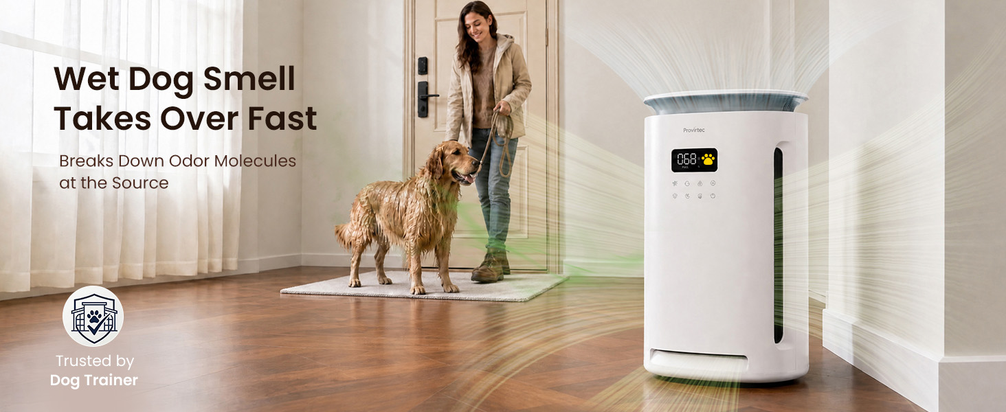air purifier for litter box smell dog air purifier smell air purifier for smoke smell