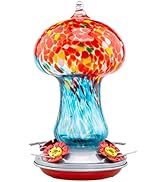 Muse Garden Gifts for Women Hummingbird Feeders for Outdoors Hanging Ant and Bee Proof, Blown Gla...