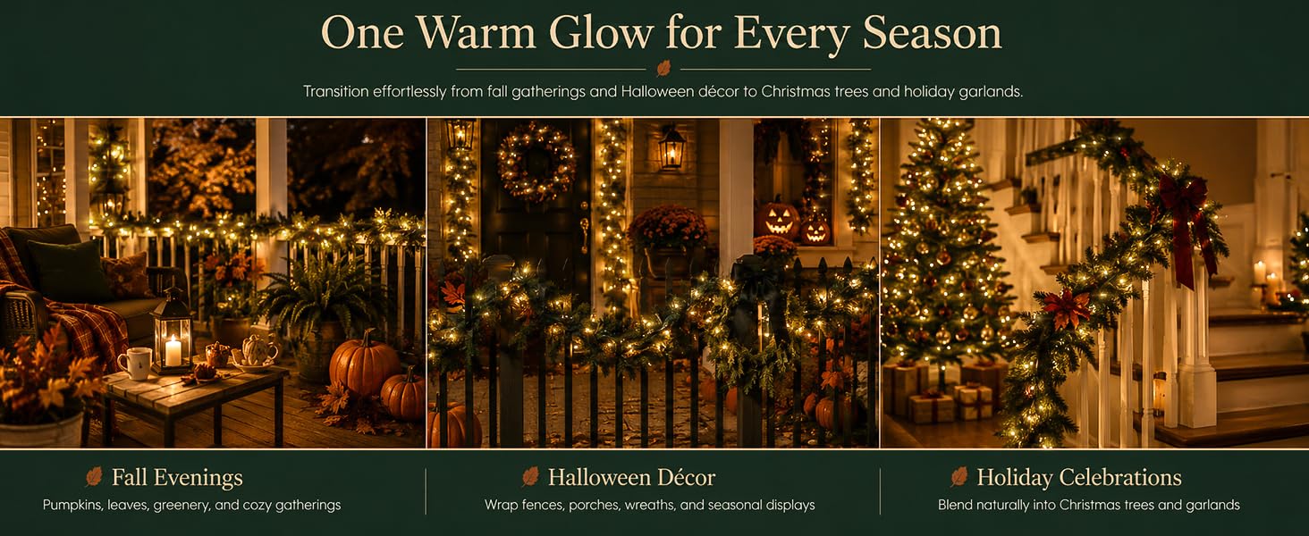outdoor christmas lights