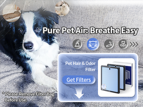 air purifier