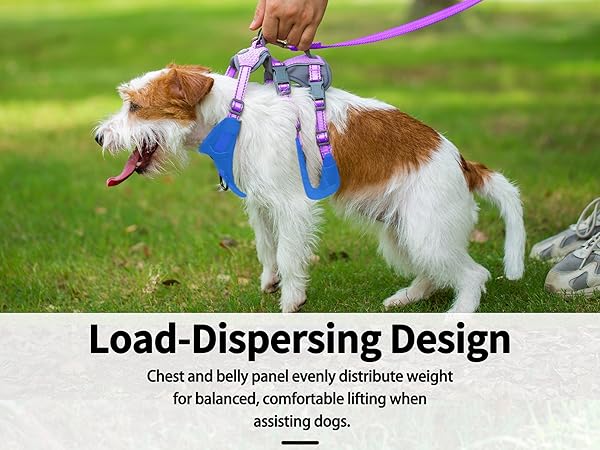 dog harness with handle 