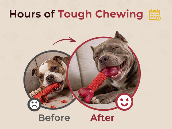 tough chew toys for dogs