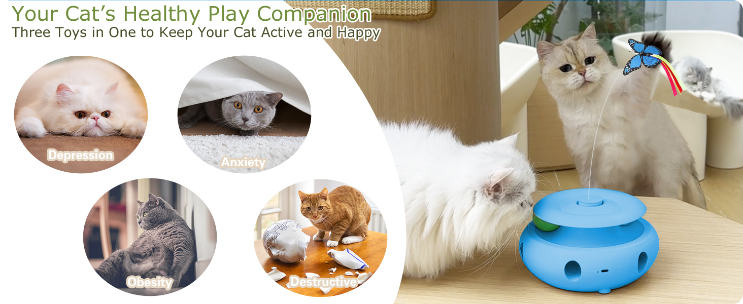 cat toy