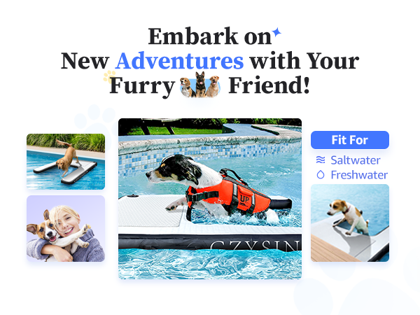 dog water ramp