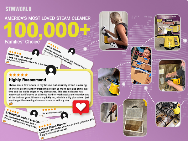 steam cleaner