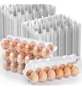 100 Pack Plastic Egg Cartons Cheap Bulk,1 Dozen Clear Empty Egg Containers for Chicken Eggs 2x6 G...