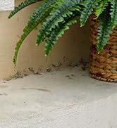 artificial plants indoor