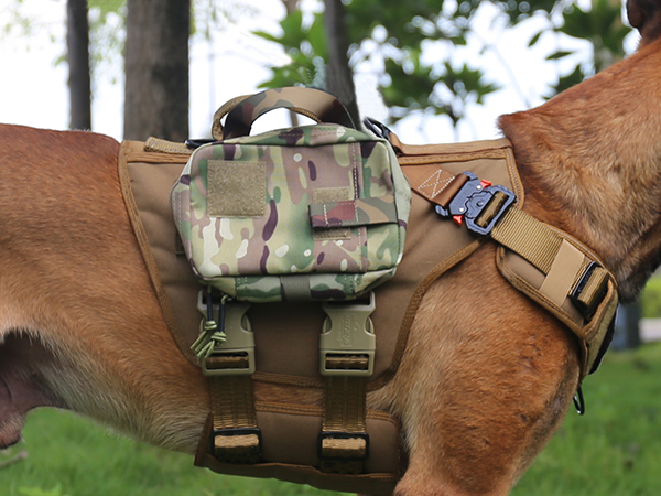 dog vest large
