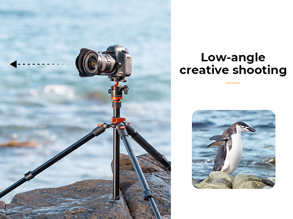 Low-angle Shooting