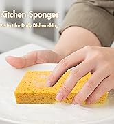 Kitchen Sponges