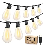 Larkvue 75FT LED Outdoor String Lights, Patio Light, 22+2 S11 Bulbs, Black | Plug in, Dimmer not ...