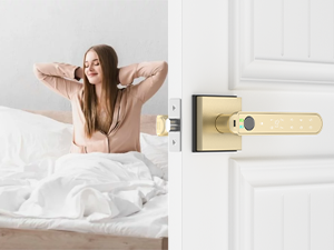 fingerprint door lock for bedroom gold