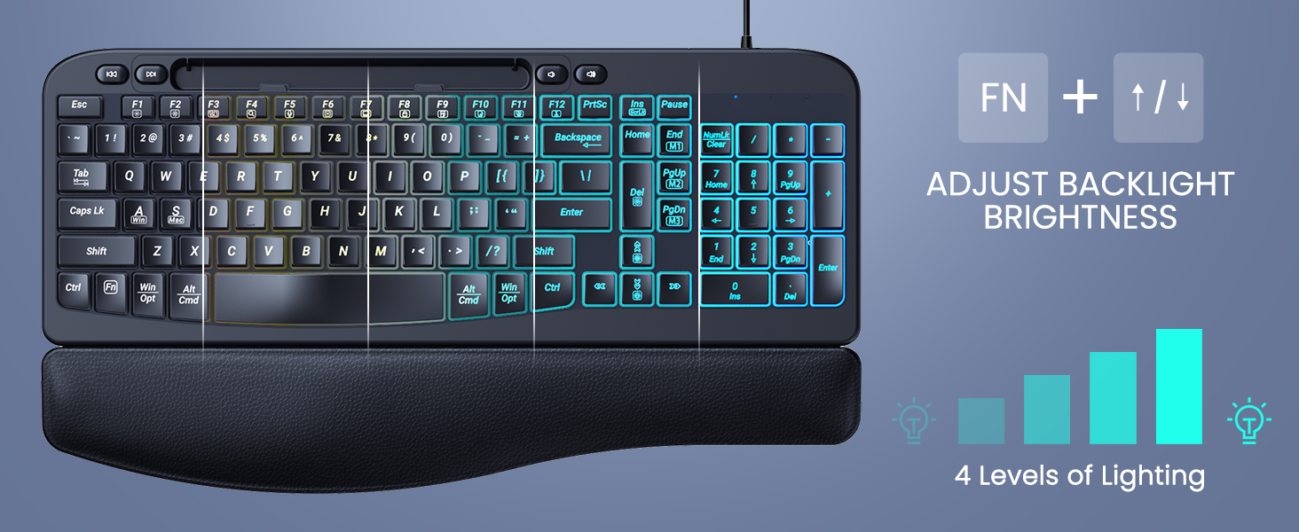 wired ergonomic backlit keyboard