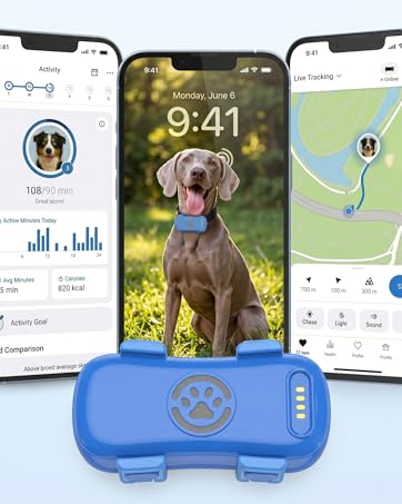 GPS Pet
