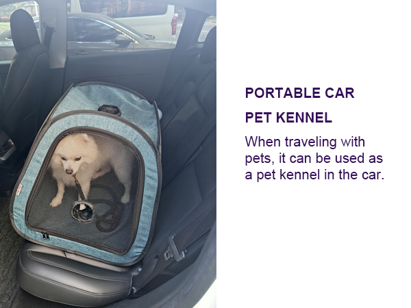 pet drying box