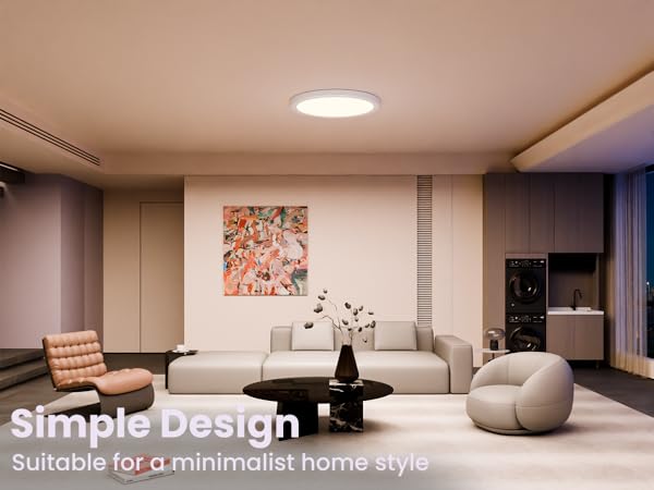Smart Ceiling Light