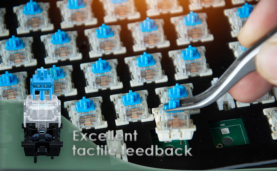 Blue Switch Replacement