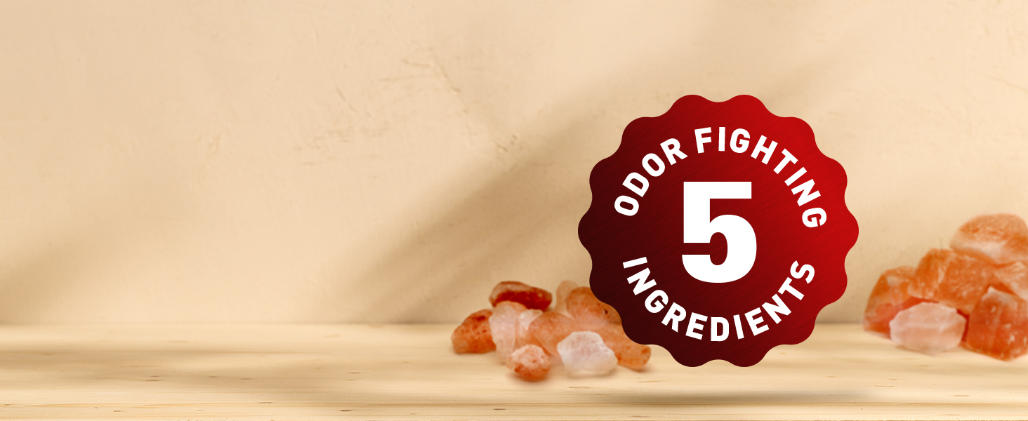 5 Odor-Fighting Ingredients
