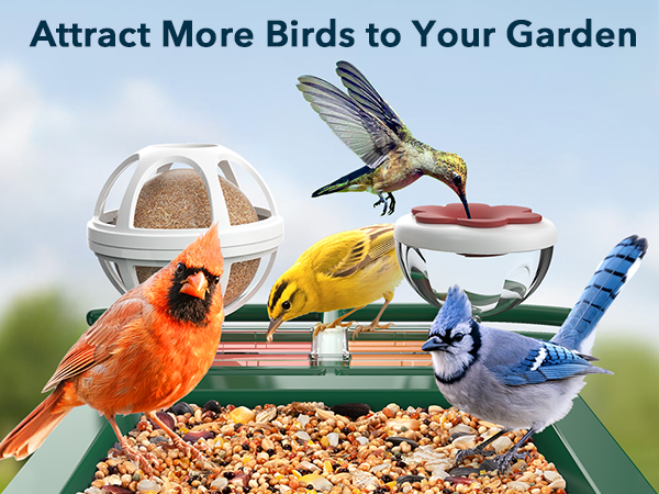 smart bird feeder camera