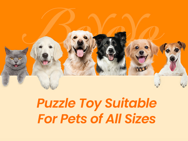 Dog Puzzle Toy