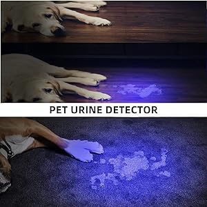 Pet urine detector