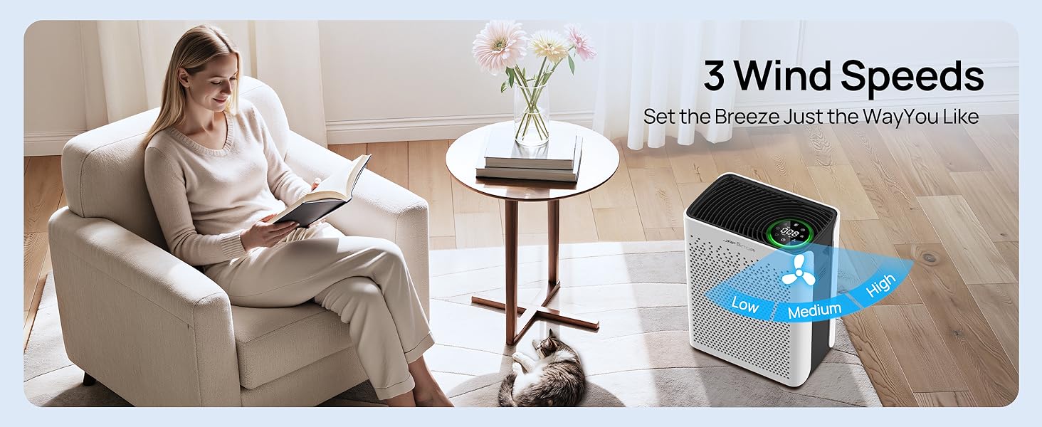 smoke air purifier for smoking indoors