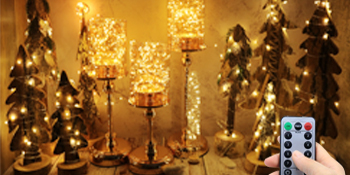remote fariy lights