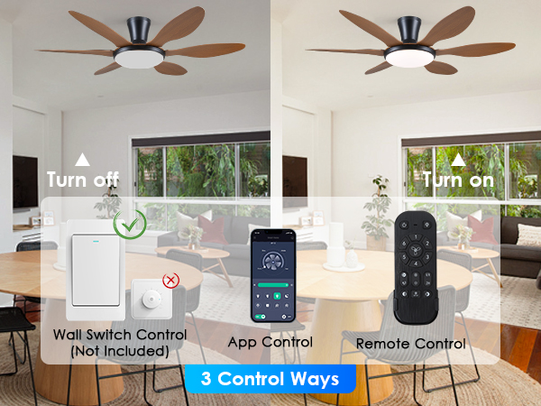 fan with light ceiling with remote