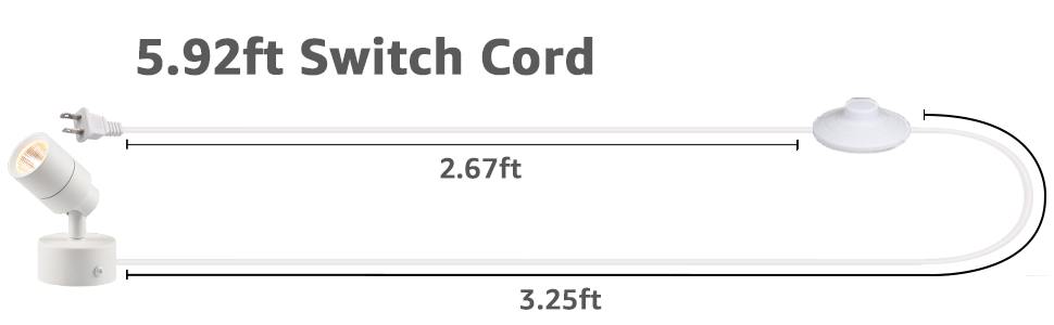 indoor plant spotlight