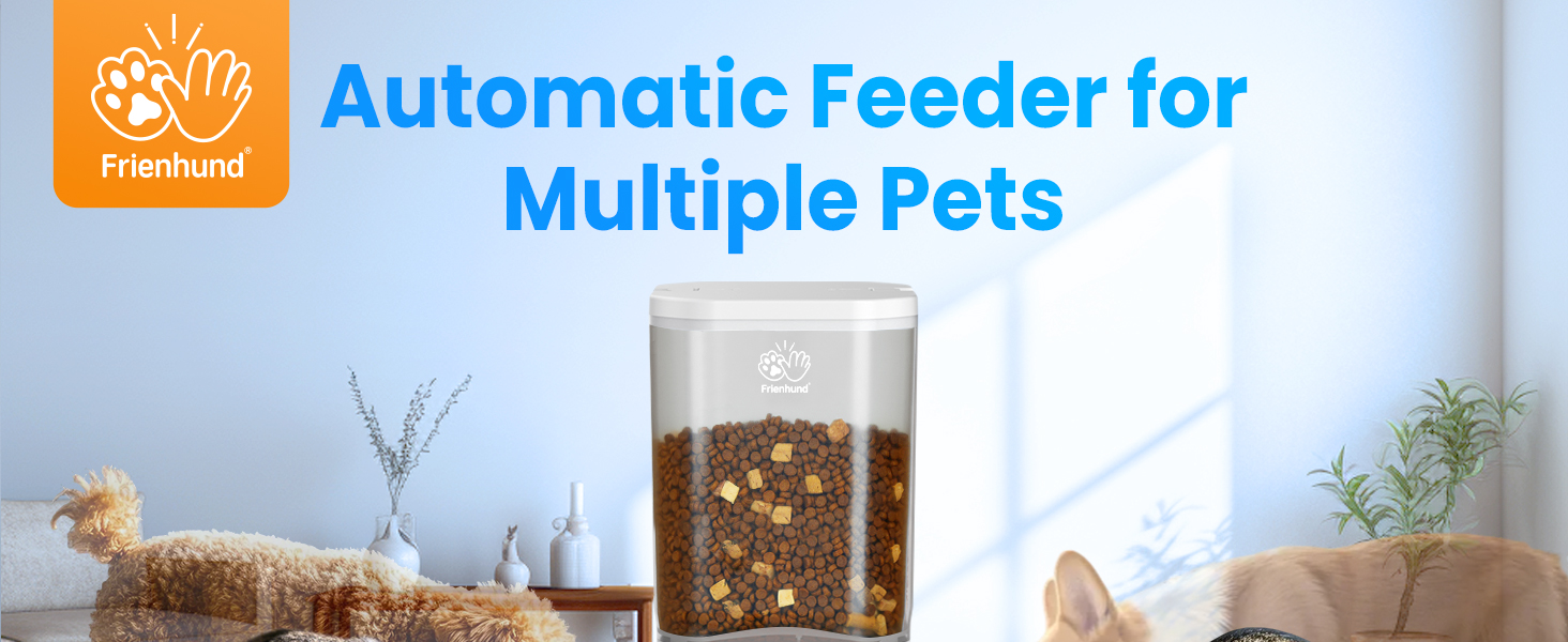 automatic cat feeder