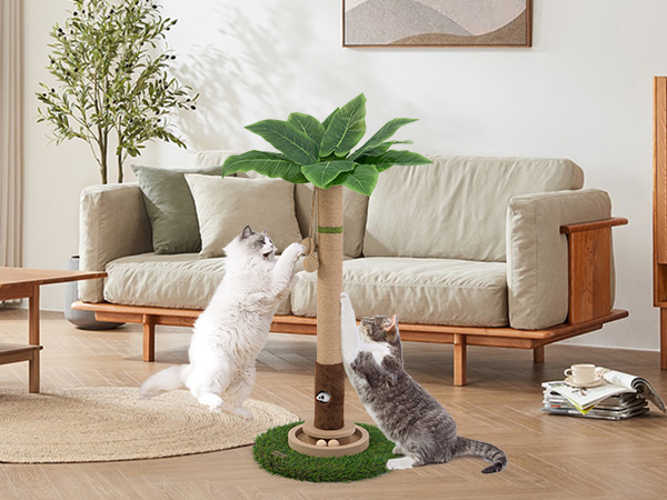 Scratcher with Cat Toy Mouse Hole for Large Cats Adults Cats
