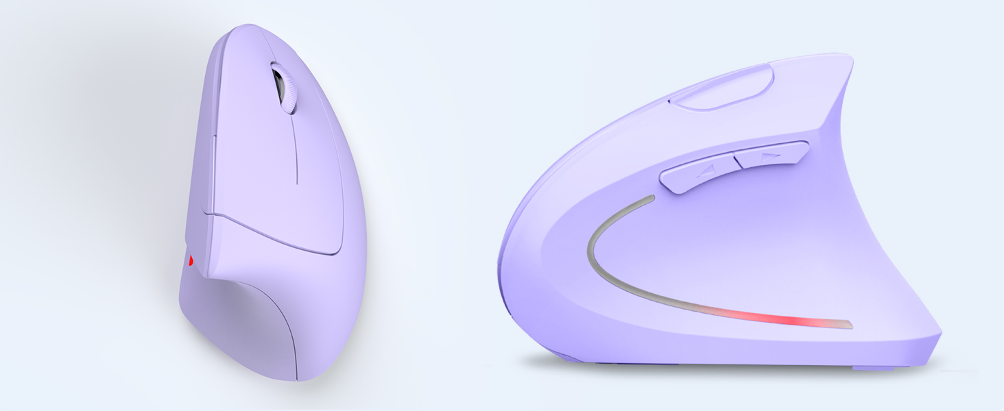 a computer mouse and a mouse
