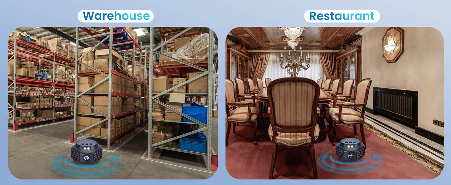 Warehouse,Restaurant