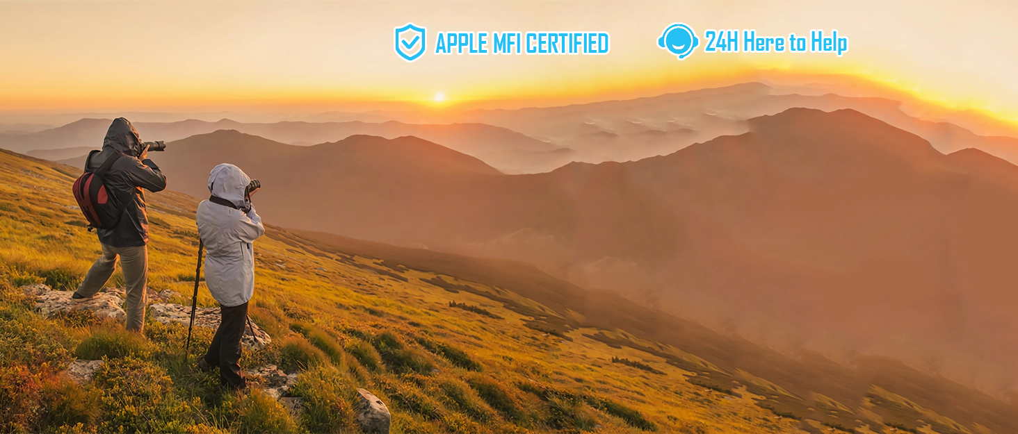 DENLANE SD CARD READER